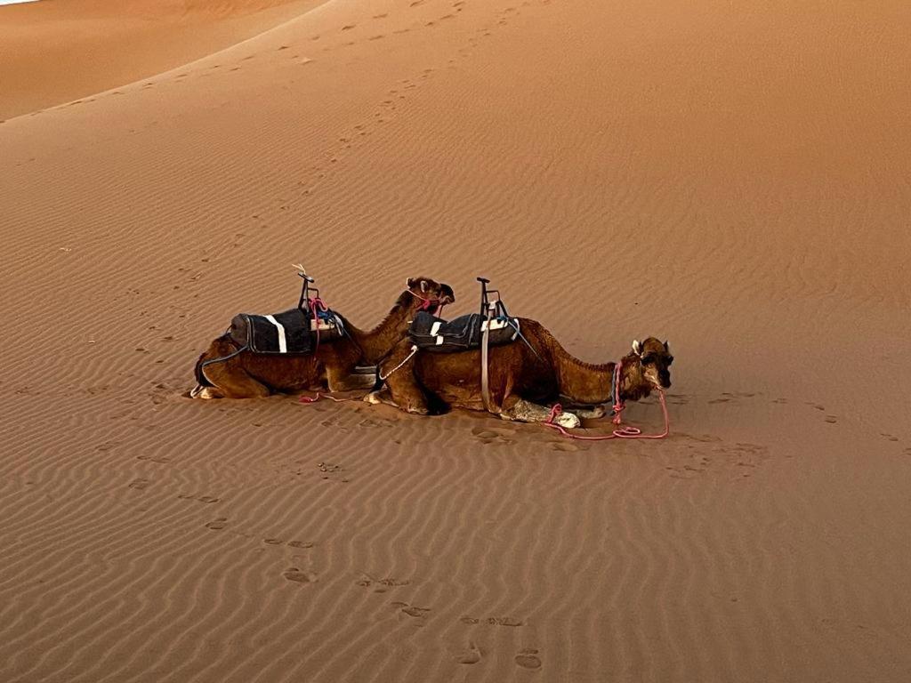 Desert Erg Chegaga Camp Campsite *
