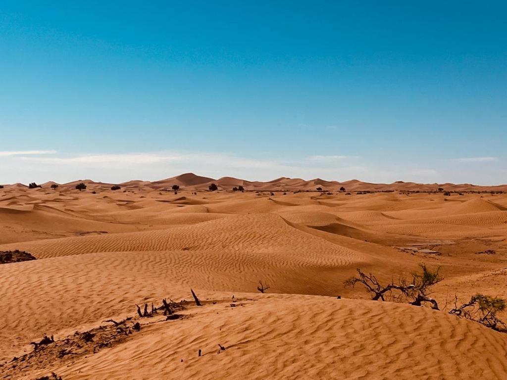 Desert Erg Chegaga Camp Campsite